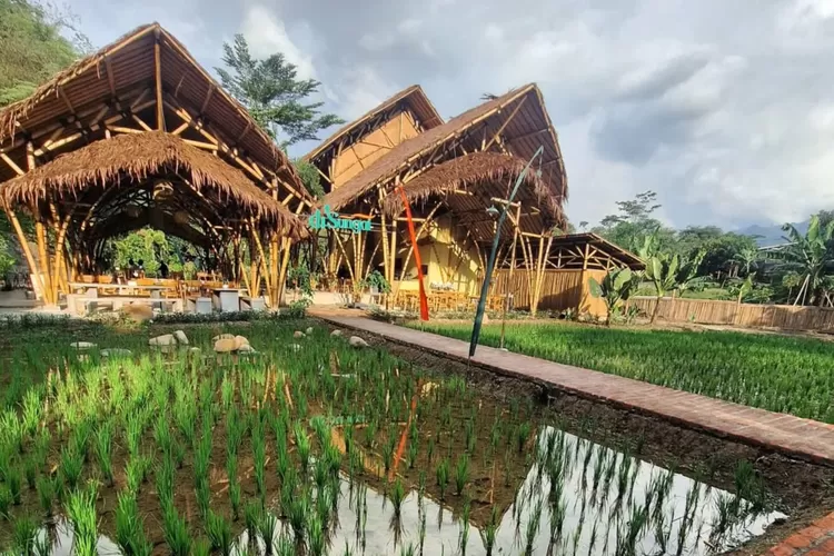 Pesona dari tempat makan Bogor, Di Sungai Resto (Instagram/@erwinbahrudin_)