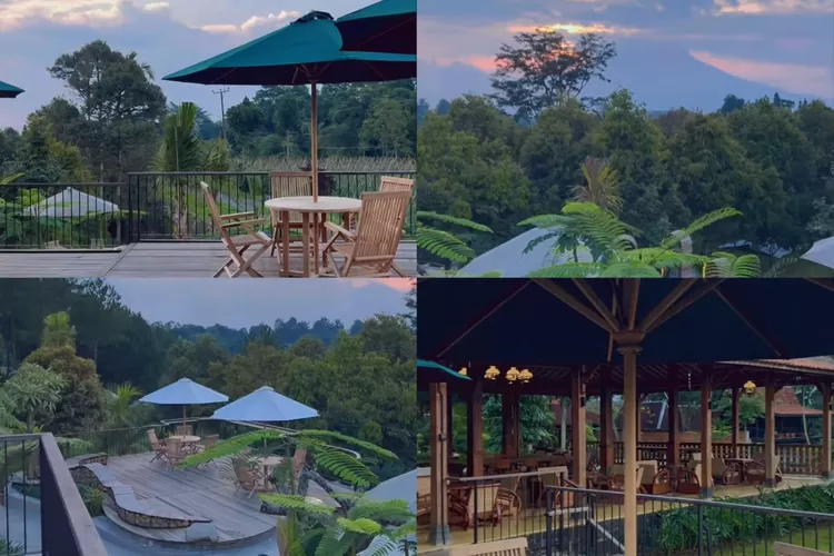 Kafe coffe shop di Horti Coffee yang juga ada kebun durian (Instagram/@horti.coffee)