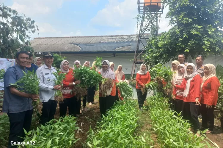 BERCOCOK TANAM : Lurah Mampang Darmawansyah (kiri) bersama Camat Pancoranmas Zikri Dwi Darmawan dan Kapolsek Pancoranmas beserta elemen ASN sekaligus Kader PKK saat memanen kangkung di Kampung Proklim RW2, Kelurahan Mampang Kecamatan Pancoranmas, Jumat (31/1).  (RISKY DWI LESTARI/RADAR DEPOK)