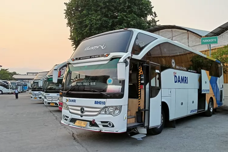 DAMRI sudah membuka pemesanan tiket perjalanan untuk masa Angkutan Lebaran 2025 Hari Raya Idulfitri 1446 Hijriah secara serentak. Bisa diakses lewat DAMRI Apps dan Online Agent Travel (OTA) di Traveloka dan redBus, serta Indomaret dan Alfamart.