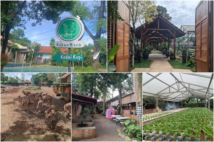 Suasana di Nara Kupu Village untuk liburan maupun tempat ngabuburit (Gmaps rating/Latipah Rahman)