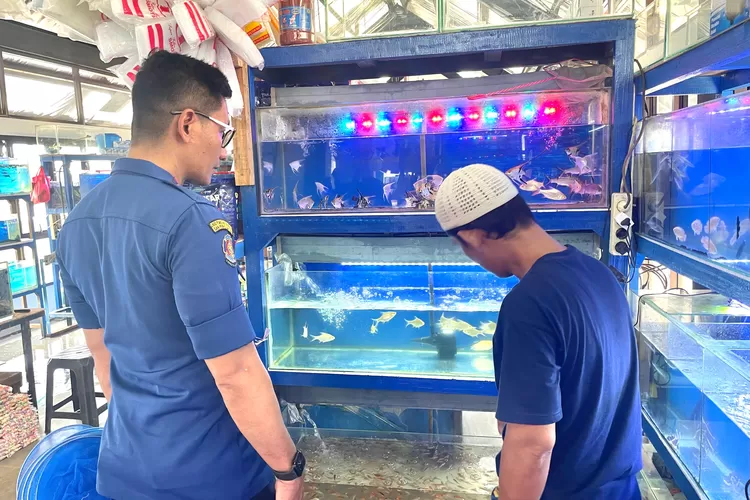 Salah satu pedagang ikan hias saat melayani pembeli, di Taman Secawan yang berlokasi di Jalan Salak, Kelurahan Depok, Kecamatan Pancoranmas, Senin (3/3/2025) (RISKY DWI LESTARI/RADAR DEPOK)