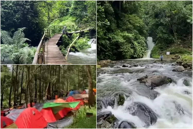 Sejuknya liburan di Ciwangun Indah Camp Bandung (Instagram/@ciwangunindahcamp)