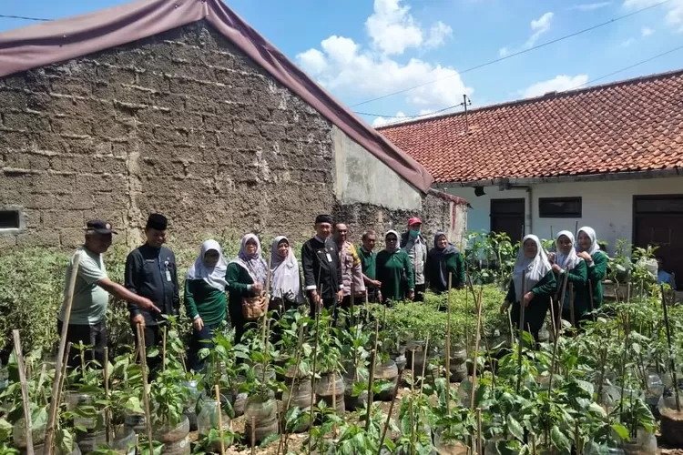 Lurah Mampang, Darmawansyah saat memantau&nbsp; tanaman sayuran di lokasi Proklim RT 4/11, Kelurahan Mampang, Kecamatan Pancoranmas, Rabu (30/4). (RISKY DWI LESTARI/RADAR&nbsp; DEPOK)