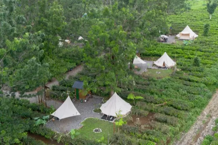 Tenda glamping premium di Goalpara Estate Camp Sukabumi (Gmaps rating/Goalpara Estate Camp)