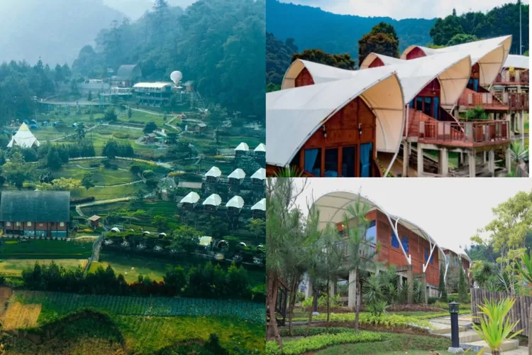 Suasana dan pilihan glamping menginap di Wisata Alam Sevillage Puncak (wisataalamsevillage.com)
