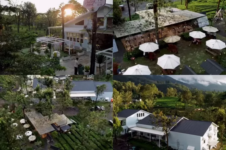 Kopi Ranu atau Warung Kentring Manik dengan suasana perkebunan teh yang syahdu (Instagram/@kopiranu)