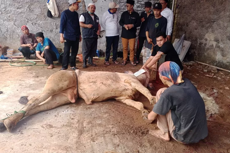 Lurah Pondok Petir, Rengga Nugraha Rojali (tengah) dan Aparatur Kelurahan Pondok Petir saat meninjau prosesi kurban Hari Raya Idul Adha 2025, Jumat (6/9/2025) Siang.  (RISKYDWILESTARI/RADARDEPOK)