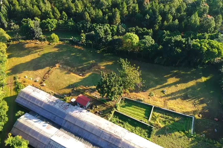 Pesona area tempat camping baru di Bogor, Orchid Campsite (Tangkapan layar Youtube Keyqueen Channel)