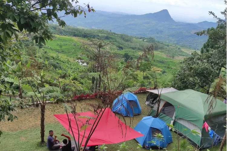 Pesona keindagan pegunungan dari Lembah Pinus Camp and Cafe Bogor (Gmaps rating/firman firmansyah)