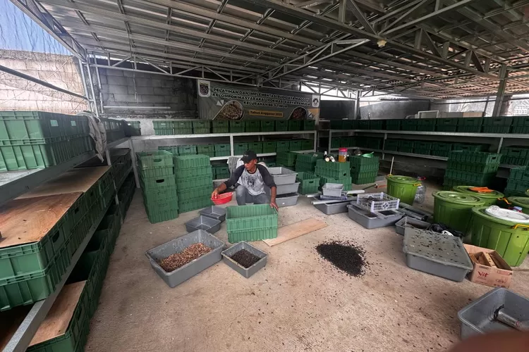 Pengelola Hanggar Maggot di RW2 Kelurahan Beji Timur, Kecamatan Beji saat beraktivitas (RISKY DWI LESTARI/RADAR DEPOK)