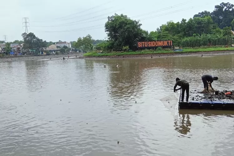 Suasana Situ Sidamukti, Kelurahan Sukmajaya, Kecamatan Sukmajaya, Kota Depok, beberapa waktu lalu. (GERARD SOEHARLY/RADAR DEPOK)