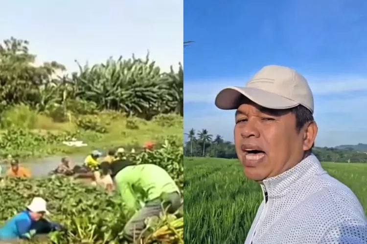 Respon Dedi Mulyadi terhadap petani yang mengeluh kesulitan atas pembersihan eceng gondok di Karawang (Instagram/@dedimulyadi71)