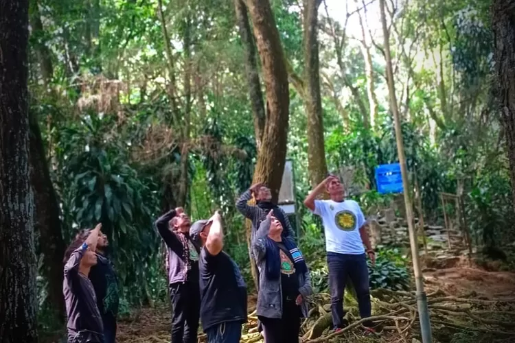 Penampapakan Situs Pasir Manggis, sebuah situs megalitik berusia 3000 SM yang terletak di kawasan Taman Nasional Halimun Salak, Kecamatan Tenjolaya, Kabupaten &nbsp;Bogor. (ISTIMEWA)