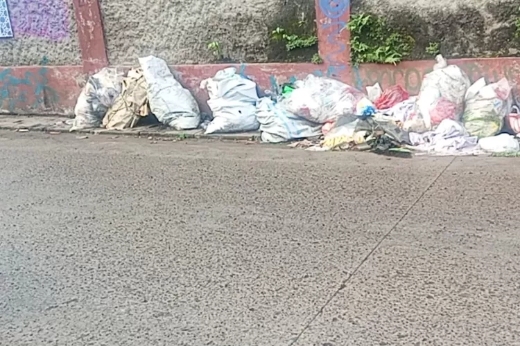 Sampah yang berserakan sehingga berkesan mencemari lingkungan di depan SDN Curug 3, RW2, Kelurahan Curug, Kecamatan Bojongsari, Kota Depok, Rabu (25/9). (RISKY DWI LESTARI/RADAR DEPOK)