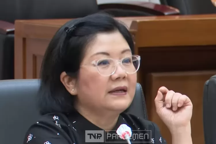 Kritik dari Dr Ahli Gizi Tan Shot Yen yang ingin menu Makan Bergizi Gratis (MBG) didominasi pangan lokal (Tangkapan layar Youtube TVR PARLEMEN)