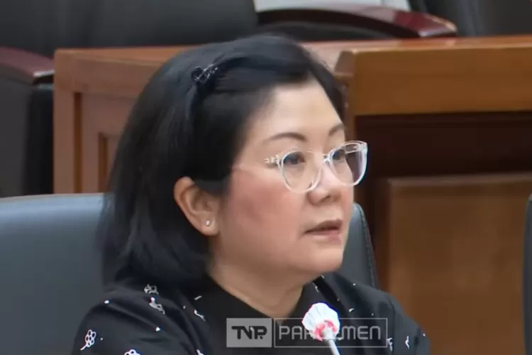 Dr ahli gizi Tan Shot Yen mengkritik sistem Makan Bergizi Gratis (MBG) (Tangkapan layar Youtube TVR PARLEMEN)