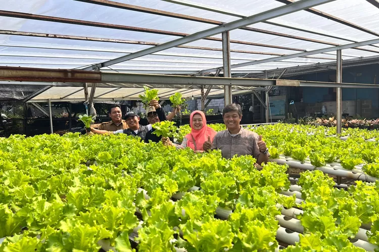 Lurah Curug, Ahmad Sofyan (berbaju coklat) saat memonitoring langsung Sekolah Rakyat Agribisnis (Sera Agribisnis) yang berada pada RW2 Kelurahan Curug, Kecamatan Bojongsari, Jumat (26/9). (RISKY DWI LESTARI/RADAR DEPOK)