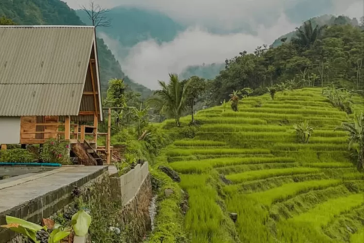 Pemandangan penginapan di Waroeng Bu Yati Bogor dengan panorama terasering persawahan yang syahdu (Instagram/@waroengbuyati)