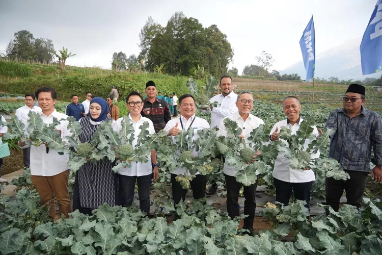 Menko Bidang Pangan RI, Zulkifli Hasan dan jajaran meninjau secara langsung program pemberdayaan PNM kepada nasabah UlaMM dan Mekaar di Kopeng, Jawa Tengah.  (PNM)