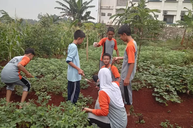 Tampak beberapa siswa SMPN 23 Depok sedang beraktivitas di lokasi urban farming.&nbsp; (ANDIKA EKA/RADAR DEPOK)