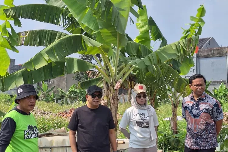 Wakil Ketua DPRD Kota Depok, Yeti Wulandari saat turun langsung ke lahan pertanian di wilayah Kecamatan Tapos, sekaligus melakukan panen kangkung. (DOKUMEN PRIBADI)