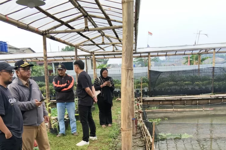 Lurah Sukamaju, Ari Basuki saat mengunjungi lokasi Pertanian Cabai dan Budidaya Perikanan Karang Taruna RW 17 Kelurahan Sukamaju, Kecamatan Cilodong, Kota Depok, Senin (20/10). (AGNESYA WIANDA/RADAR DEPOK)