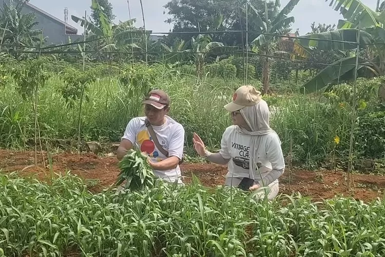 Wakil Ketua DPRD Kota Depok dari Partai Gerindra, Yeti Wulandari saat menyambangi lahan tidur yang bakal dijadikan kebun sayur di wilayah Kecamatan Tapos. (DOKUMEN RADAR DEPOK)