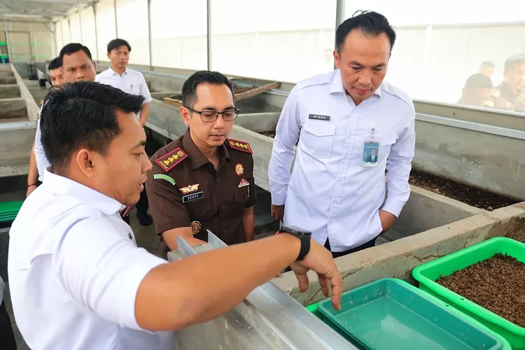 (kiri ke kanan) Kasi Binadik Lapas Cibinong Numan Fauzi, Kajari Bogor Denny Achmad, dan Kepala Lapas Cibinong Wisnu Hani Putranto, saat melihat budidaya maggot Lapas Cibinong, Rabu (29/10). (Lapas Cibinong)