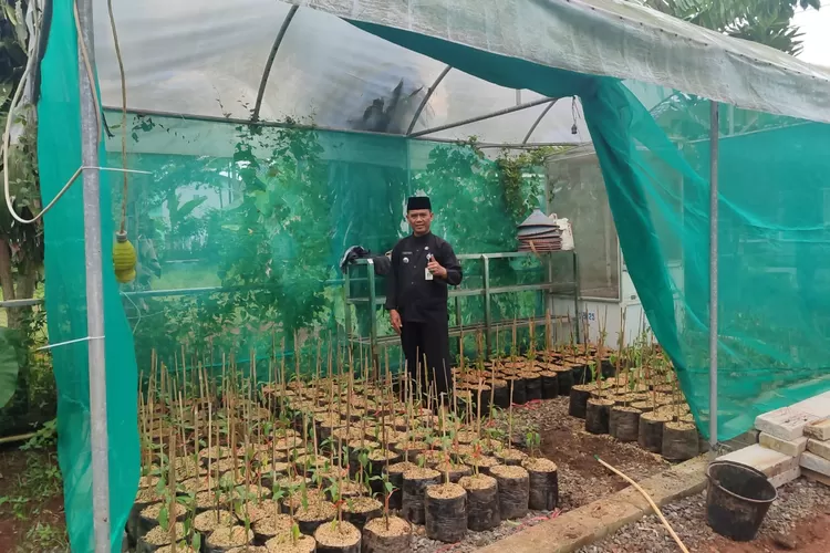 Lurah Duren Seribu, Ahmad Sabani saat menerima bantuan Holikultura untuk Kelompok Wanita Tani (KWT) di salah satu pekarangan KWT, Rabu (19/11). ( RISKY DWI LESTARI/RADAR DEPOK)