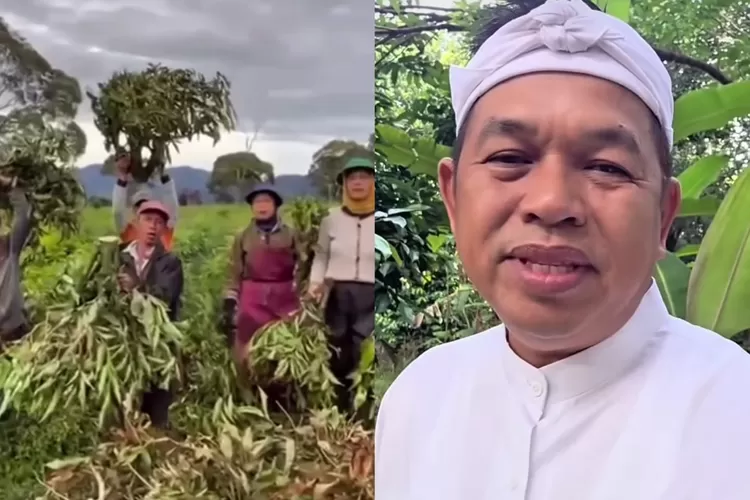 Gubernur Jawa Barat, Dedi Mulyadi tindak tegas pengerusakan lingkungan di Jawa Barat (Instagram/@dedimulyadi71)