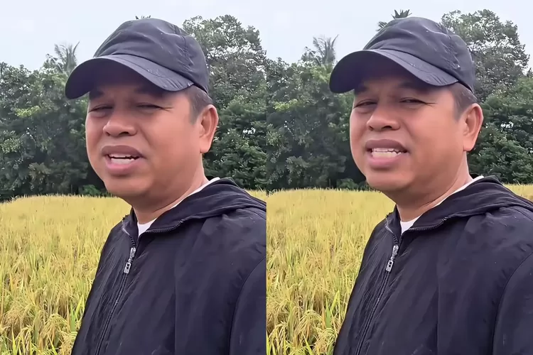 Gubernur Jawa Barat, Dedi Mulyadi ungkap akan buat moratorium larangan penebangan areal hutan  (Instagram/@dedimulyadi71)
