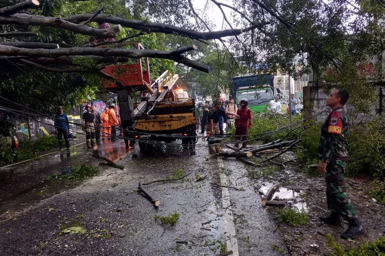 TUMBANG : Pohon melintang dijalan Raya Muchtar Sawangan yang tumbang karena intensitas hujan yang tinggi disertai cuaca ekstrim saat ditangani aparatur Babinsa, Bhabinkamtibmas dan DLHK Kota Depok, Rabu (3/12). (RISKY DWI LESTARI/RADAR DEPOK)