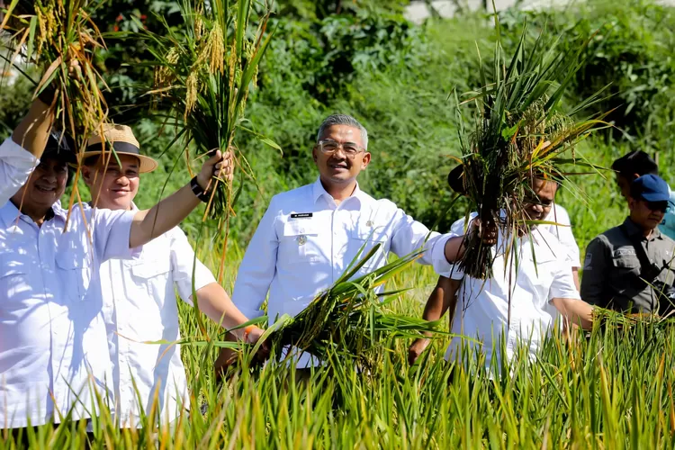 Kota Bandung panen raya perdana di Tahun 2025