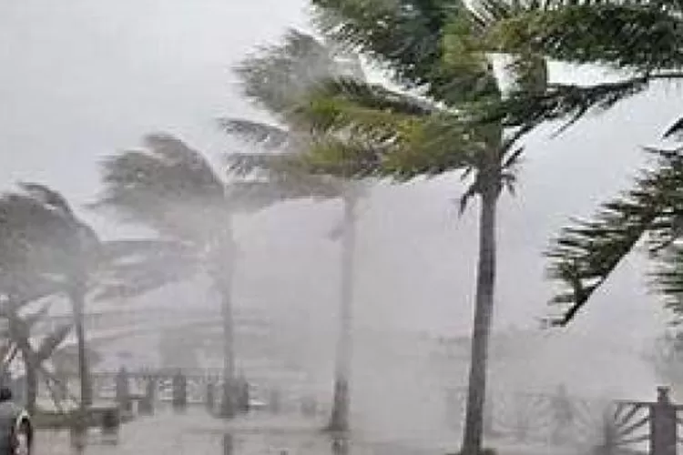 Ilustrasi cuaca ekstrem (Net)