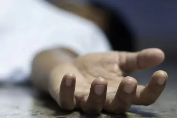 Ilustrasi Seorang Siswa SD di Palopo Tewas usai tertabrak mobil yang dikendarai oleh Kepsek SD itu sendiri (Pixabay)