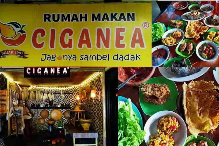 Rumah Makan Sunda di Purwakarta (YouTube Uun Halimah)