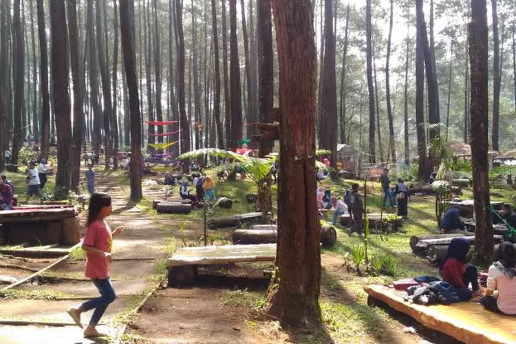 ilustrasi wisata di Bandung, dengan pemandangan dari ketinggian pegunungan (jawapos)