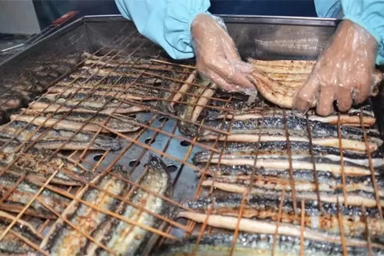 ilustrasi olahan ikan sidat, yang punya kandungan gizi lebih tinggi dibandinkan ikan salmon. (jawapos)