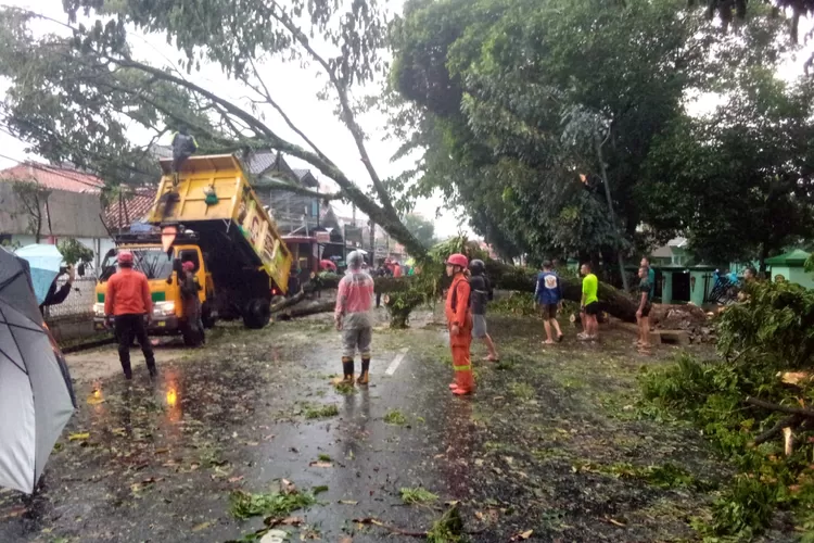 Pohon tumbang yang terjadi di Jalan Mayjen Ishak Djuarsa, tepatnya di depan Markas Komando (Mako) Yonif 315/Garuda, Kelurahan Gunung Batu, Kecamatan Bogor Barat, Kota Bogor. 