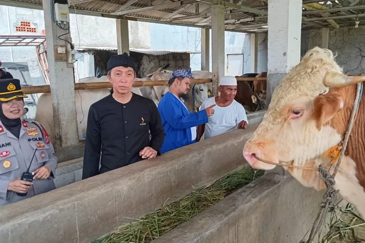 Wakil Wali Kota Bogor Dedie Rachim mendukung peningkatan jumlah sapi ternak di Kota Bogor demi kurangi ketergantungan impor. (Dok pribadi)