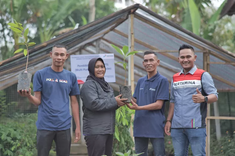 Sebanyak lebih 6 juta pohon yang ditanam dalam Program Hutan Pertamina mendukung pemerintah dalam hal pelestarian lingkungan dan menyerap emisi karbon. (Foto: Dok Pertamina)