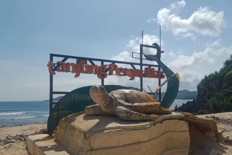 Cuma Ribu Bisa Menikmati Tempat Wisata Pantai Tanjung Penyu Mas Di