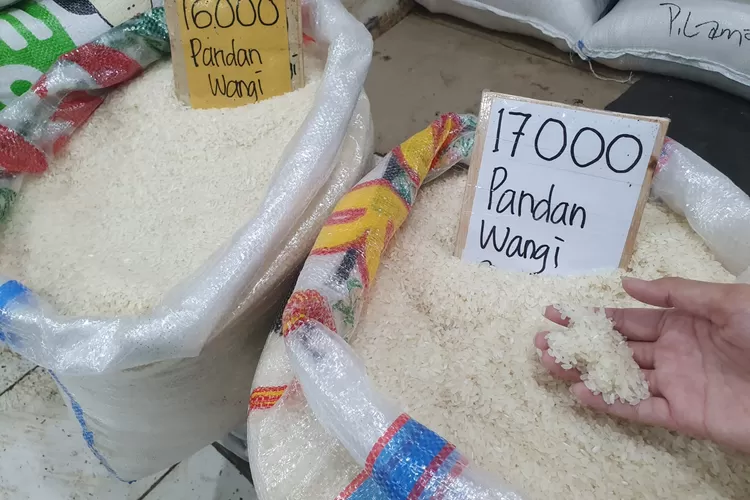 Ilustrasi harga beras di Pasar Cibinong, Kabupaten Bogor (dok Metropolitan)