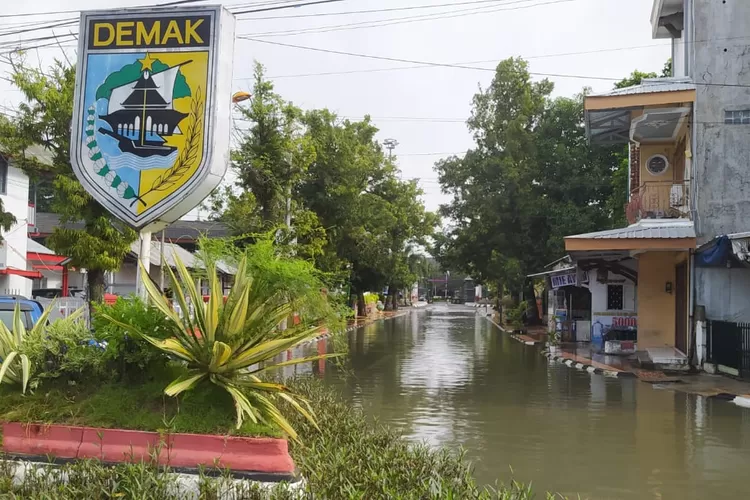 Banjir di Demak semakin meluas, selain merendam puluhan desa di empat kecamatan akibat tanggul jebol. (Dok Pemkab Demak)