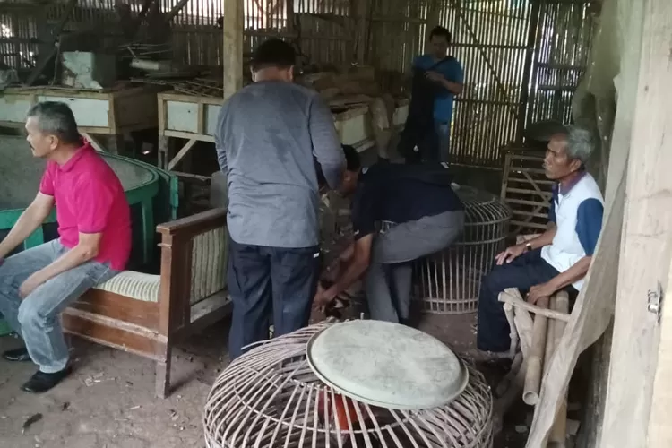 Satreskrim Polres Purwakarta baru saja gerebek tempat judi sabung ayam di Ciganea, Jatiluhur. Di mana ada 11 orang diciduk polisi (Herman/Metropolitan)
