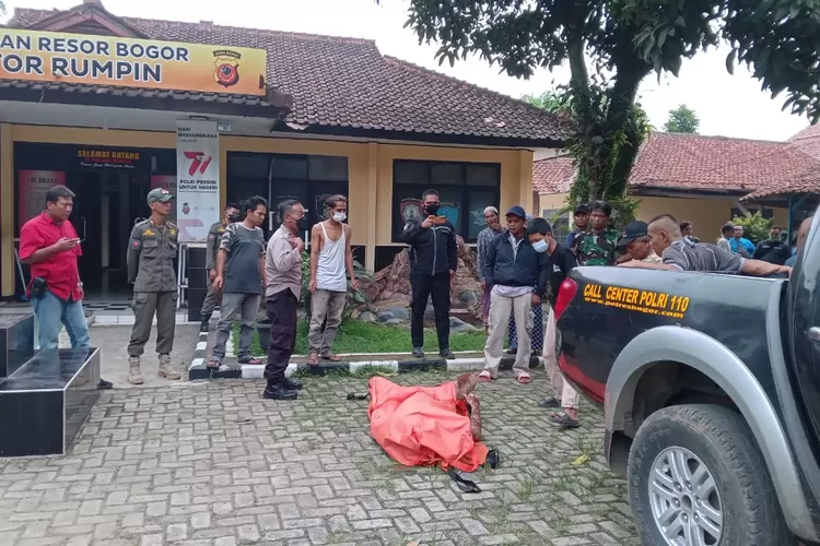 Jasad pelajar yang ditemukan di sumur tua di Desa Cipinang Kecamatan Rumpin sudah dievakuasi dan diserahkan ke pihak keluarga. (Nasir/Metropolitan )