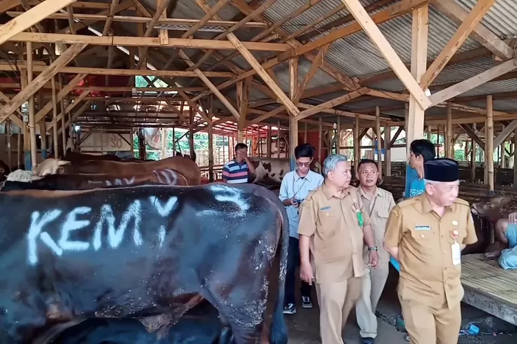 Plh Sekda Kabupaten Purwakarta Agung Darwis Suriatmadja sidak ke pasar hewan ilegal yang menjamur jelang Idul Adha (Herman)