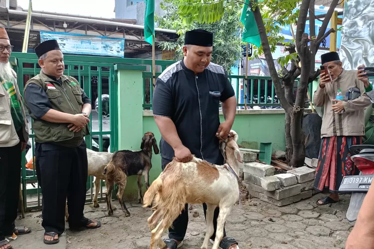 Praktek menyembelih hewan qurban. (Adin)