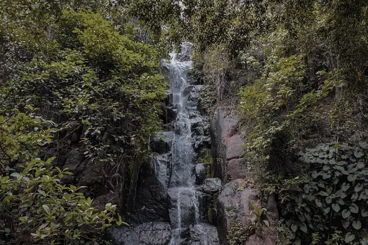 Nih lokasi dan harga tiket curug Pitu Banjarnegara buat healing (Instagram @curugpitu_official)